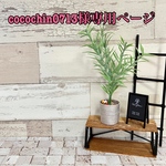 cocochin0713様専用ページ　　送料無料