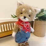 柴犬