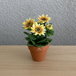 ひまわり　6   花鉢　