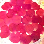 ♡new♡作家様必見♡ 大きめな花びらがいっぱい♡ 押し花セット