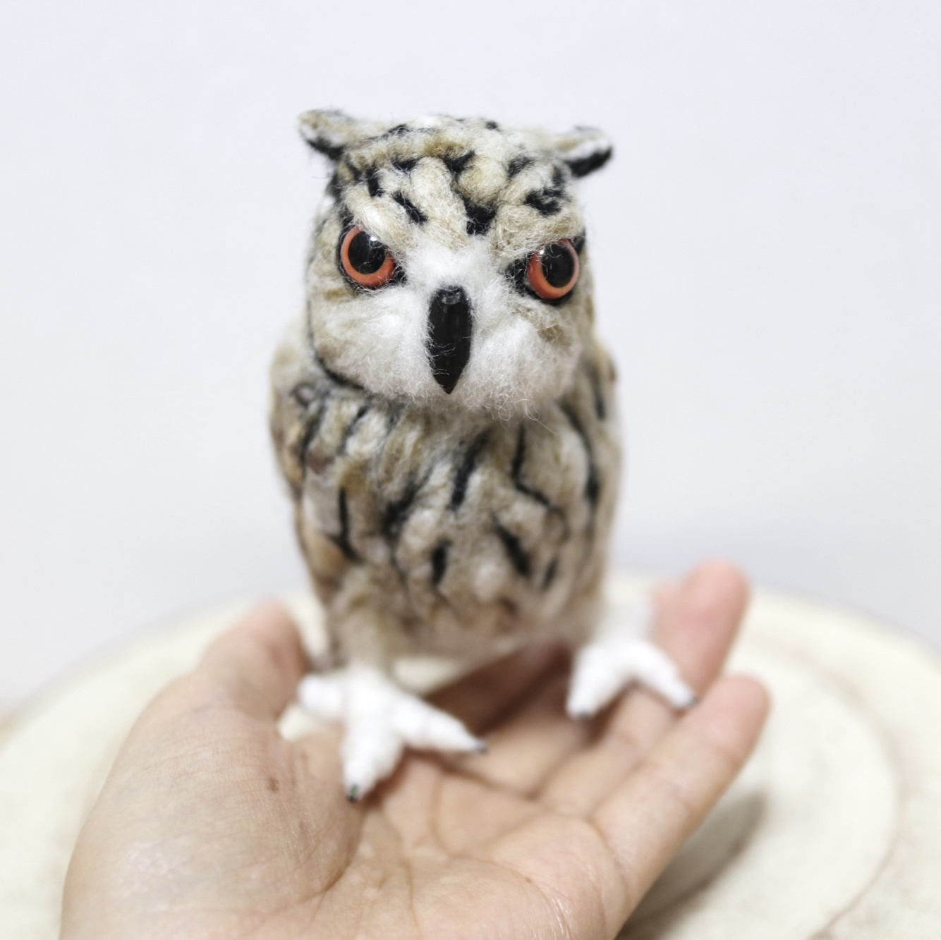 フクロウ】小さいベンガルワシミミズクちゃん /ふくろう 梟 野鳥