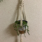 【送料無料】プラントハンガー ハンドメイド
