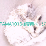 PAMA1016様専用ページです。