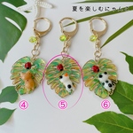夏を楽しむにゃんこ⑤