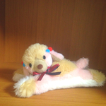 のんびり♡くつろぎワンちゃん