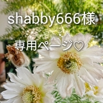 小さな花材