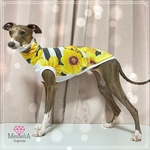 【イタグレ用犬服】ボーダー✖️イエローフラワーが可愛い❣️秋まで使えるボーダータンクトップ🐥