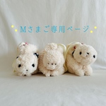 Mさまご専用ページ