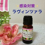 【感染対策】ラヴィンツァラ★高品質グレード精油