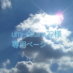umi-sakana22様専用ページ