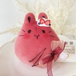真っ赤なベリーのもっちー