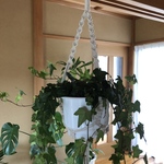 【送料無料】プラントハンガー　ハンドメイド
