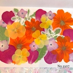 ♡new♡作家様必見♡押し花MIXセット♡押し花セット