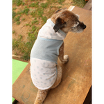 犬服 ウォータークールクロス＆メッシュ のタンク トップ　薄水色×水色メッシュ
