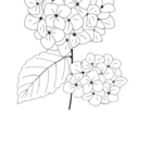 tsunagaru888様専用ページ