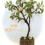 ✻M様✻　専用ページ（再販ご依頼分）　