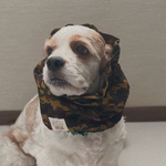 リップル生地★迷彩柄　茶色　犬用スヌード　中型犬用スヌード
