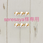 🐶🐶🐶seresaya様専用🐶🐶🐶