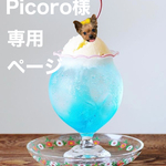 Picoro様専用ページ