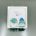 SDGS シー陶器のミニピアス/イヤリング