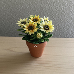 ひまわり　10    花鉢　