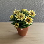 ひまわり　12    花鉢　