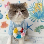 ✨プチリニューアル再販✨　ミニうきわ🛟