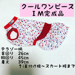 イタグレ服 [ＩM完成品］クールワンピース(テラゾー柄)