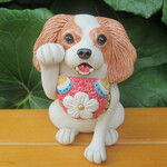 招き犬★キャバリア（金運）