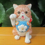招き猫★エキゾチックショートヘア（金運）