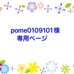 pome0109101様専用ページ