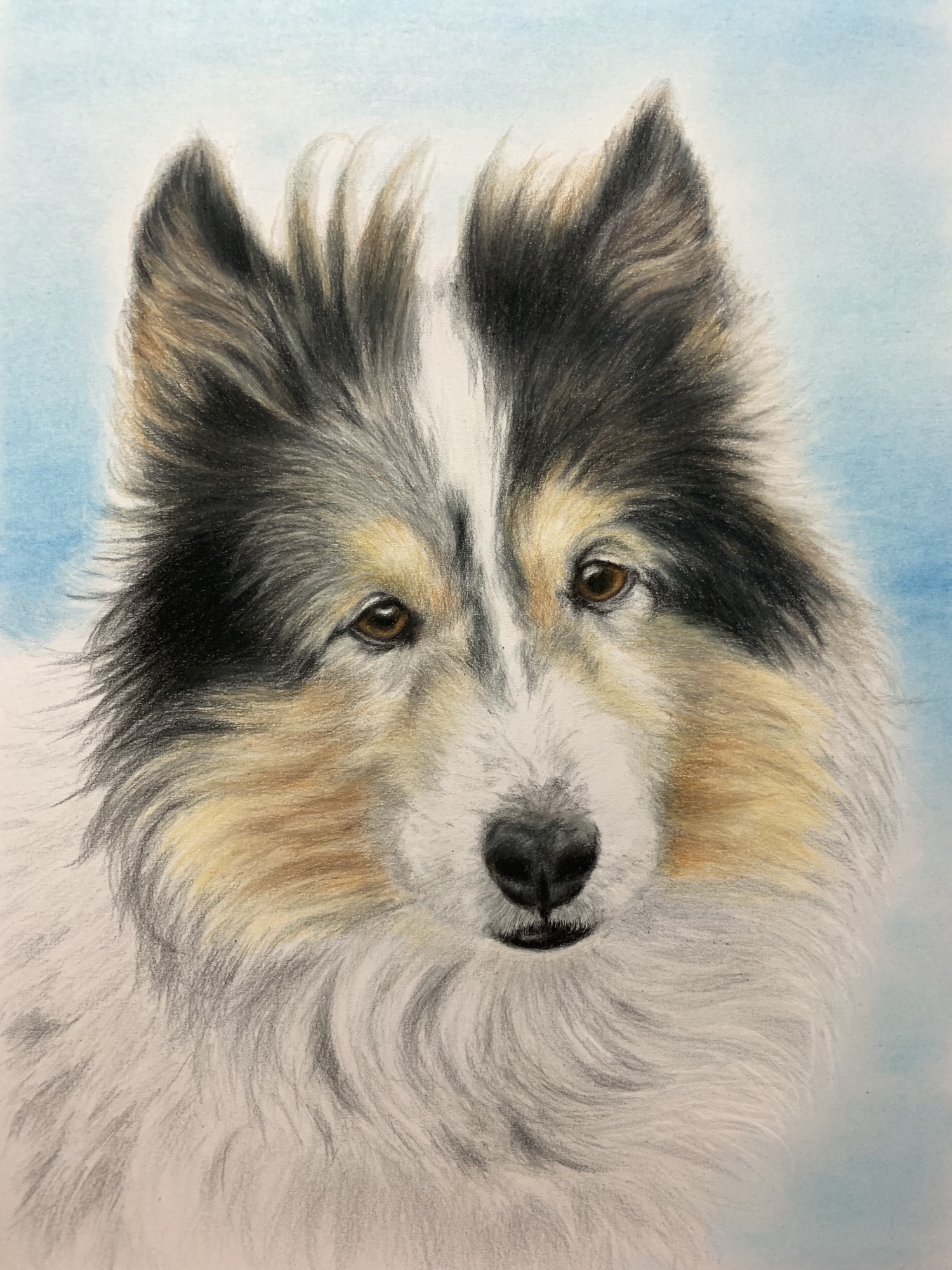 ペットの似顔絵 ネコ似顔絵 オーダーメイド リアル イラストオーダー