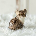 【Winstanley Cat ウィンスタンレイ キャット】振り返ってこちらを見る表情が可愛らしい Felix フェリックス /1-B　2000017487519