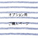 ☆追加オプション用ご購入ページ☆
