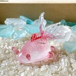 U562　宇宙を宿すガラスのウミウシ［金魚］
