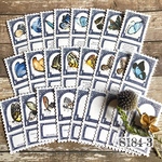 送料無料　【S184-3 コラージュ素材】海外シール　ジャーナル　蝶　ラベル　手帳　おすそ分け　メモ　