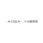 追加データ等