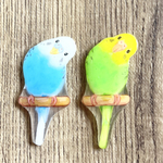 インコのペアブローチ