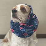セール品❤︎金魚柄❤︎夏生地　犬用スヌード　中型犬用スヌード