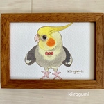 送料込み☆オカメちゃん原画（パイド）