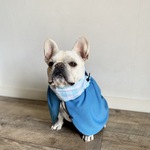 冷え冷えケープ(ブルー)