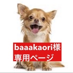 専用ページ