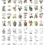 ヴィンテージペーパー（植物・カラー）