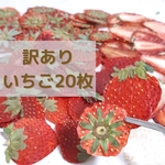 SALE訳あり押しフルーツ いちご20枚