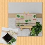 蛇腹 じゃばら カードケース 生成 観葉植物 柄 × 茶 無地