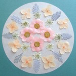 押し花セットL＜組み立てのお花・あじさい・レースフラワー他＞