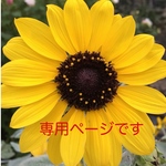 専用ページです。