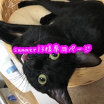summer13様専用ページ