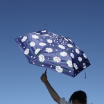 UVカット折りたたみ傘 紫陽花 あじさい ネイビー 紫外線99.9%カット 晴雨兼用 163425 日傘 雨傘 竹ハンドル