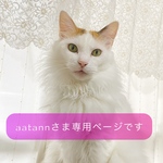 ☆aatann2002さま専用ページです☆